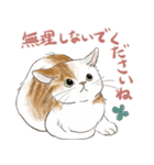 敬語で伝える猫たちのスタンプ（個別スタンプ：33）