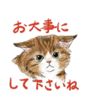 敬語で伝える猫たちのスタンプ（個別スタンプ：34）