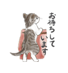 敬語で伝える猫たちのスタンプ（個別スタンプ：36）