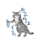 敬語で伝える猫たちのスタンプ（個別スタンプ：37）