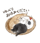 敬語で伝える猫たちのスタンプ（個別スタンプ：38）
