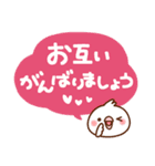 毎日しろちゃん13 (丁寧☆敬語)（個別スタンプ：7）