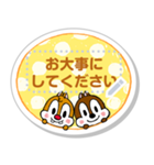 【メモスタンプ】チップとデール（個別スタンプ：12）