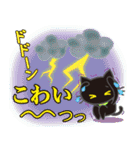 【涼感】黒ねこ×夏の気づかい（個別スタンプ：21）