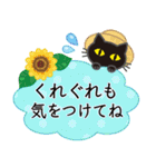 【涼感】黒ねこ×夏の気づかい（個別スタンプ：24）