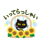 【涼感】黒ねこ×夏の気づかい（個別スタンプ：30）