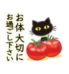 【涼感】黒ねこ×夏の気づかい（個別スタンプ：34）