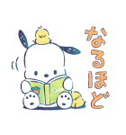 ポチャッコ 水彩画タッチ（個別スタンプ：28）
