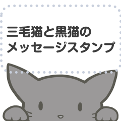 [LINEスタンプ] 三毛猫と黒猫のメッセージスタンプ