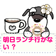 [LINEスタンプ] シュナウザーでメッセージを