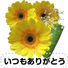 [LINEスタンプ] 心に届け！祝福＆感謝の花束メッセージ