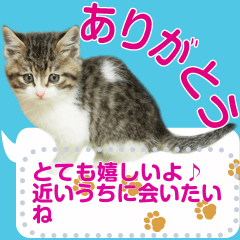 [LINEスタンプ] れお＆くぅのメッセージスタンプ