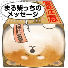 [LINEスタンプ] まる柴っちのメッセージ