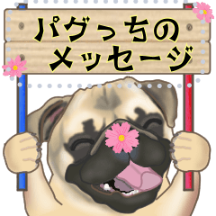 [LINEスタンプ] パグっちのメッセージ