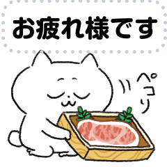 [LINEスタンプ] ぺけとまゆげ 猫さんのメッセージスタンプ