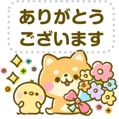 [LINEスタンプ] 豆柴日和♡メッセージ