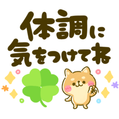 [LINEスタンプ] コロナに負けるなと叫ぶ豆柴‼︎