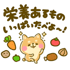 [LINEスタンプ] コロナになんか負けないぞ‼︎豆柴ちゃん