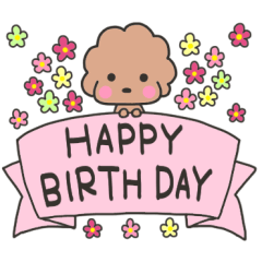 [LINEスタンプ] トイプードルのビビ♡お誕生日・お祝い♡