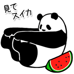 [LINEスタンプ] やる気のないパンダ 夏3