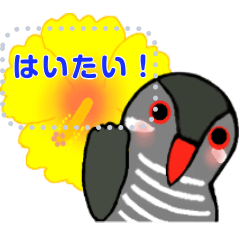 メッセージlineスタンプの人気ランキング 全6 786種類