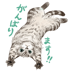[LINEスタンプ] 敬語で伝える猫たちのスタンプ