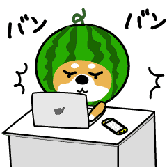 [LINEスタンプ] 【夏が来た。】動くしばいぬ〜夏編〜