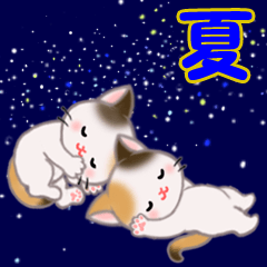 [LINEスタンプ] 三毛猫ツインズ 夏～！の画像（メイン）